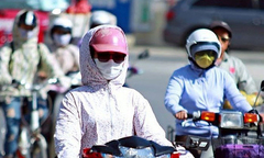 Vì sao mùa đông miền Bắc lại nóng bất thường, trái ngược dự báo?