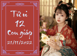 Tử vi vui 12 con giáp hôm nay thứ Hai 21/11: Dần giàu nứt vách, Mão gặp may