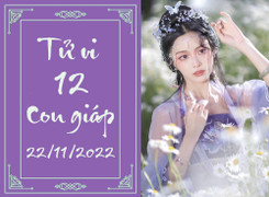 Tử vi vui 12 con giáp hôm nay thứ Ba 22/11: Hợi áp lực, Dần chớ tự phụ