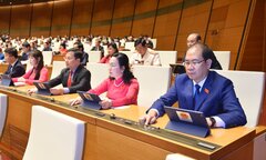 Đấu giá biển số ô tô từ ngày 1/7/2023, khởi điểm 40 triệu đồng