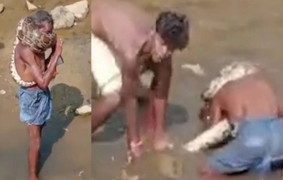 Dùng trăn hoang dã làm khăn quàng cổ, người đàn ông suýt chết