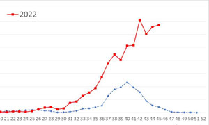 Biểu đồ cho thấy dịch sốt xuất huyết nghiêm trọng bất thường ở Hà Nội