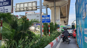 Cử tri thắc mắc gầm đường sắt Cát Linh - Hà Đông mỗi đoạn trồng một loại cây