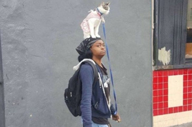 Những bức ảnh đập tan cơn buồn chán bởi sự kỳ quặc đến khó hiểu