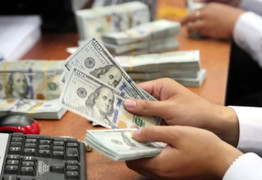 Tỷ giá USD hôm nay 20/11: Phục hồi nhẹ