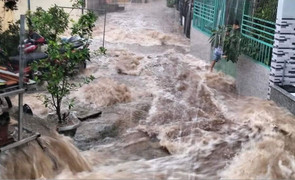 Quy Nhơn: Mưa lớn gây ngập sâu, nước chảy xiết 