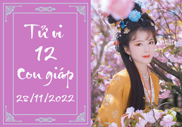 Tử vi vui 12 con giáp hôm nay thứ Hai ngày 28/11: Tý vượng lên, Mão dễ bị lừa