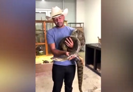 Liều lĩnh chơi đùa với trăn, người đàn ông bị cắn nhiều nhát