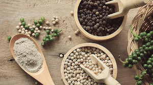 Giá tiêu hôm nay 24/11: Tiếp đà đi ngang, cao nhất ở mức 61.500 đồng/kg