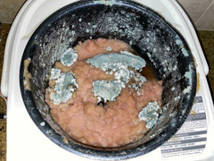 Tình cảnh gây choáng mà dân tình mắc phải khi chọn nhầm bạn cùng phòng