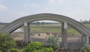 Dự án hơn 40 ha đất đắc địa ở Hải Phòng thành bãi chăn thả trâu