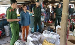 Quảng Nam: Phá đường dây mua bán gần 1 tấn thuốc nổ, hơn 400 viên đạn