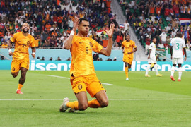 Nhận định bóng đá Hà Lan vs Ecuador: Tranh ngôi đầu bảng