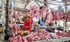 Giá heo hơi hôm nay 26/11: Ổn định trên cả nước