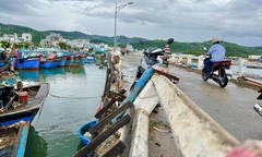 Cận cảnh cây cầu rệu rã chờ sập, người dân 'nín thở' đi qua mỗi ngày