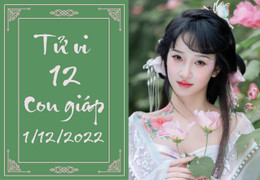 Tử vi vui 12 con giáp hôm nay thứ Năm 1/12: Dậu dễ bị lừa tình, Tuất có cơ may