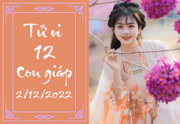 Tử vi vui 12 con giáp hôm nay thứ Sáu 2/12: Mùi tăng thu nhập, Tỵ nâng địa vị