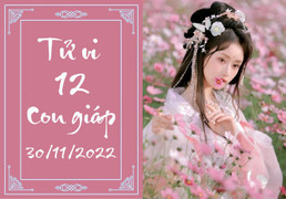 Tử vi vui 12 con giáp hôm nay thứ Tư 30/11: Hợi vượng tài, Mùi thăng tiến