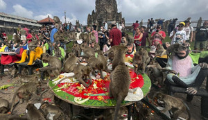 Người Thái Lan tổ chức tiệc tri ân cho gần 4.000 con khỉ