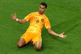 Xem trực tiếp bóng đá Hà Lan vs Qatar trên kênh nào?