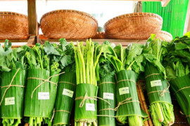 Tiêu dùng sản phẩm thân thiện môi trường: Khuynh hướng của cuộc sống hiện đại