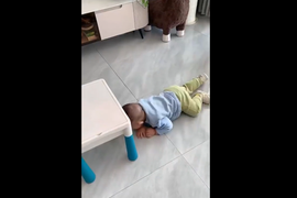 Bật cười xem em bé luồn lách, lăn lộn để lấy đồ ăn