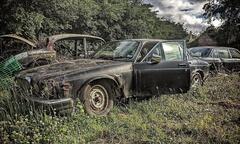 Nghĩa địa xe cổ toàn 'hàng thửa' Jaguar, Austin
