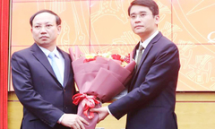 Quảng Ninh: Nguyên Phó Chủ tịch UBND tỉnh làm Phó trưởng Ban Tổ chức Tỉnh ủy