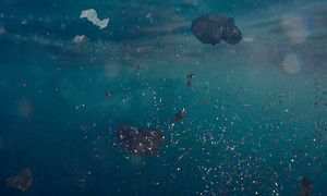 Hạt vi nhựa và con đường 'xâm nhập' vào cơ thể người