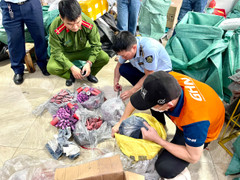 Hà Nội: Phát hiện hơn 11 kg hàng hóa nghi vấn là pháo nổ