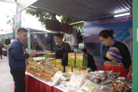 Co.opmart Hải Phòng tổ chức tuần lễ giới thiệu các sản phẩm OCOP Bắc Kạn