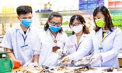 Ngành Y học cổ truyền sẽ có chuẩn đào tạo mới
