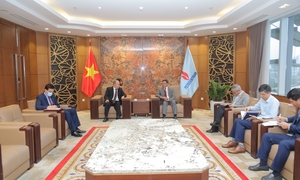 Petrovietnam mong muốn phát triển cơ hội đầu tư tại Algeria