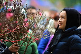 Bắc Bộ có thể rét đậm trong dịp Tết Nguyên đán