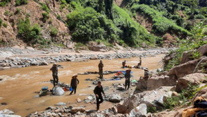 Nghề ... mót vàng