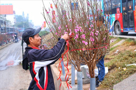 Bộ Lao động - Thương binh và Xã hội thông báo phương án nghỉ Tết Nguyên đán 2023