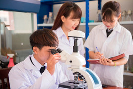 Chuyên gia: Thuật ngữ đại học và trường đại học rối rắm, gây hiểu nhầm