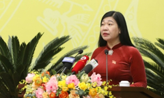 Cử tri Hà Nội lo lắng việc thiếu trường học trong các quận nội thành
