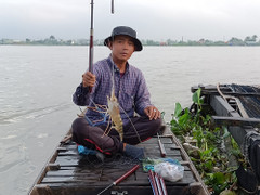 Vào mùa câu tôm càng xanh trên sông Hậu