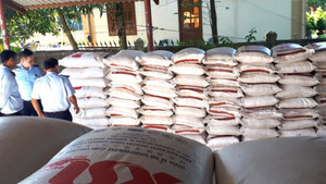 Tạm giữ 15 tấn đường cát nhập lậu qua địa bàn Quảng Trị