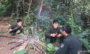 Ngậm ngùi nghề giữ rừng