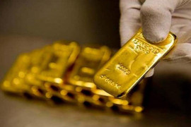 ‘Cá mập’ gom thêm 4,6 tấn vàng