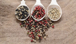 Giá tiêu hôm nay 11/12: Không biến động, cao nhất 62.000 đồng/kg