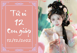 Tử vi 12 con giáp hôm nay thứ Hai ngày 12/12: Tý thăng tiến, Dần thị phi