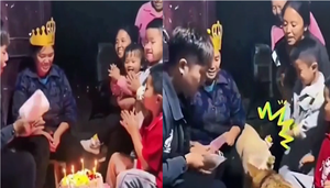 Hai chú chó lao vào ăn sạch bánh sinh nhật của chủ