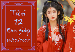 Tử vi vui 12 con giáp hôm nay thứ Tư ngày 14/12: Tỵ được giúp, Dần dễ mắc lỗi