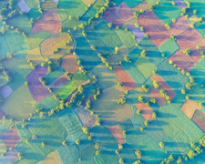 Cánh đồng độc đáo nhất miền Tây đẹp như tranh vẽ với các thửa ruộng màu sắc