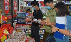 Bảo đảm an toàn thực phẩm Tết Nguyên đán Quý Mão và mùa lễ hội Xuân 2023