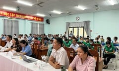 Đà Nẵng vận động ngư dân phân loại và mang rác về bờ