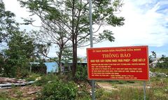 Nhiều đất công ở Đà Nẵng bị lấn chiếm trái phép 